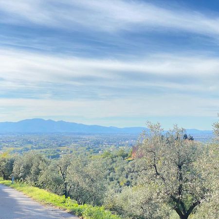 Leonardo Da Vinci - Appartamento Nel Verde Con Parcheggio E Wi-Fi Екстер'єр фото