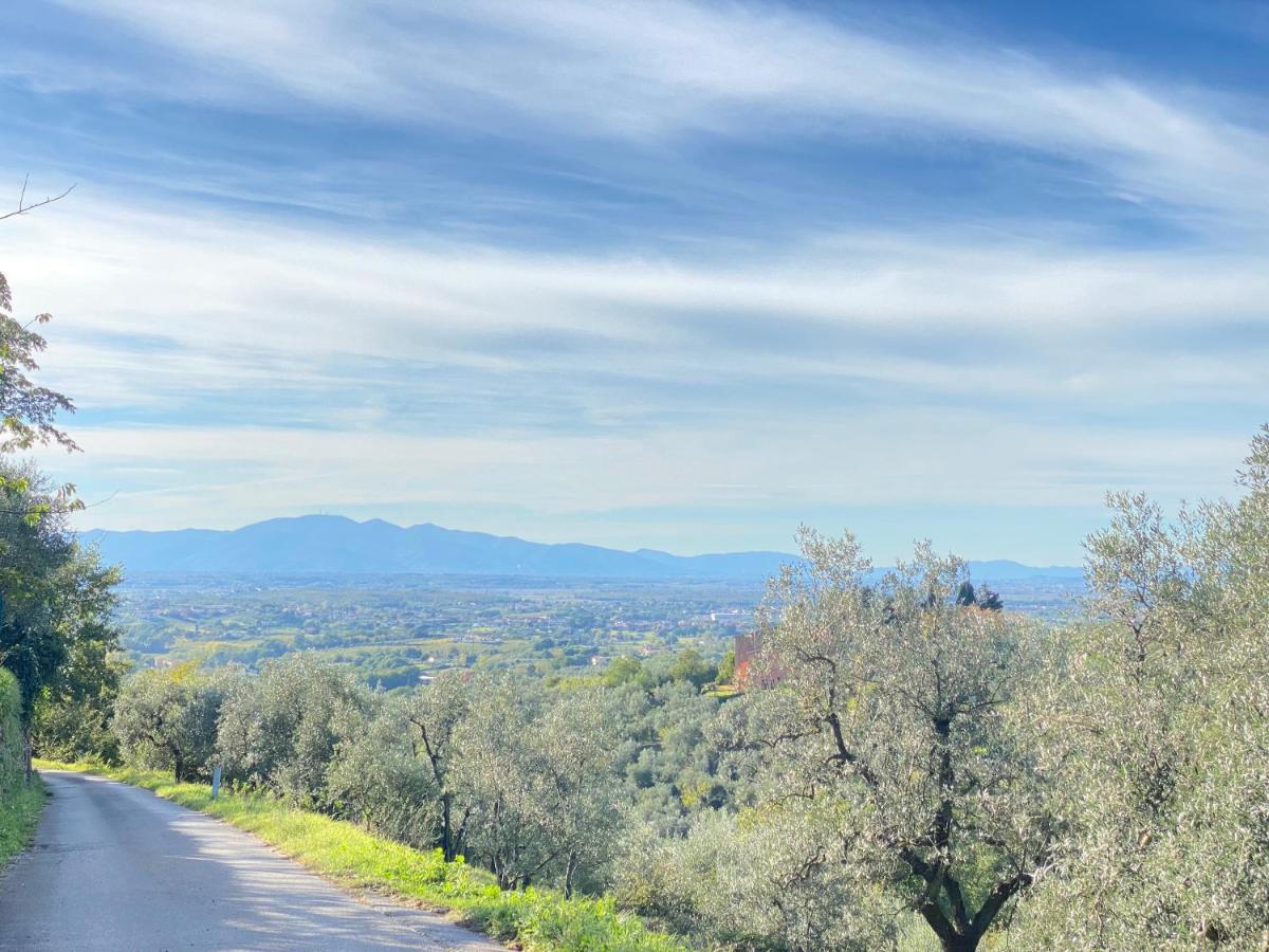 Leonardo Da Vinci - Appartamento Nel Verde Con Parcheggio E Wi-Fi Екстер'єр фото